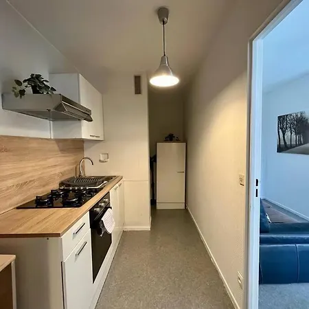 Lumineux F2 / Pkg Gratuit / Proche A31 Appartement
